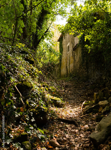 Obraz na płótnie chemin naturel menant à une ruine