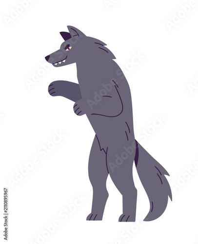 Dangerous wolf standing on hind legs, walking. Wild forest beast, evil predat...