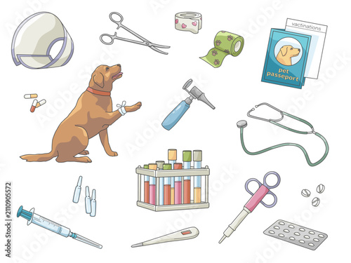 Veterinary clinic equipment and medical supplies with dog