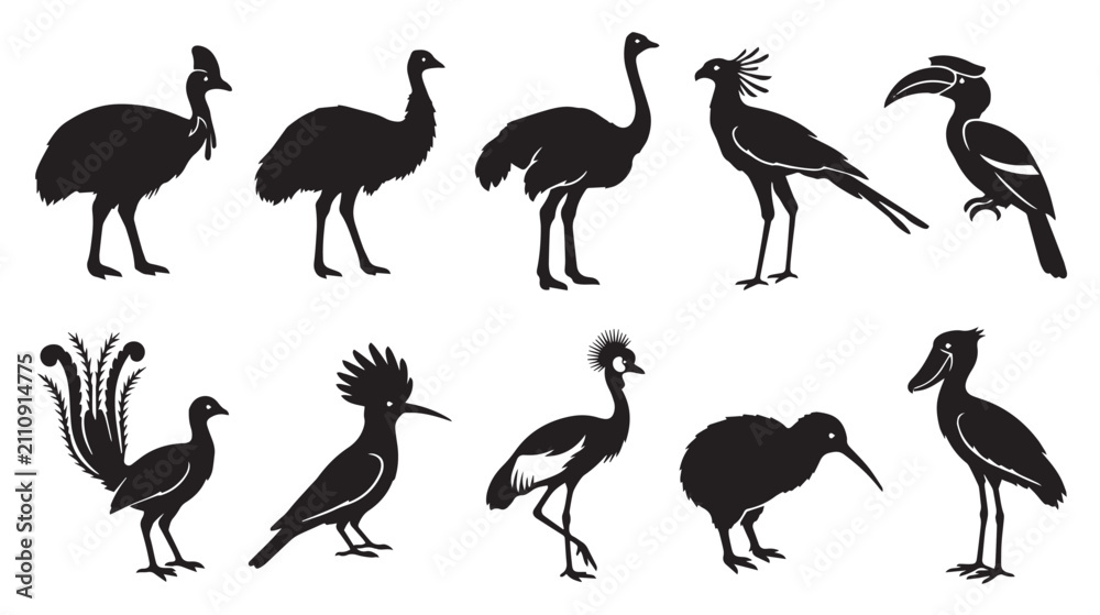 Obraz premium Exotic bird silhouettes collection, set of 10 tropical avian species icons, black wildlife vector graphics for nature education and logo design isolated on White Background