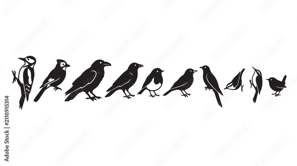 Obraz premium Minimalist black bird silhouettes collection, set of 10 garden bird vector icons, hand drawn wild bird species illustrations for nature branding isolated on White Background