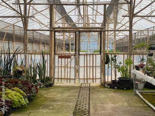 Quadro su tela Interior of a Greenhouse with Plants and Central Walkway