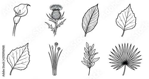 Bild auf Leinwand Vintage botanical line art collection, 8 hand drawn floral and leaf vector illus