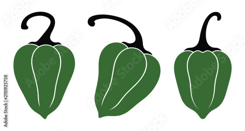 Bild auf Leinwand Green Pepper Trio: Three ripe green bell peppers, each with a distinct wavy surface and a sturdy stem, are arranged together, showcasing their vibrant color and fresh appearance