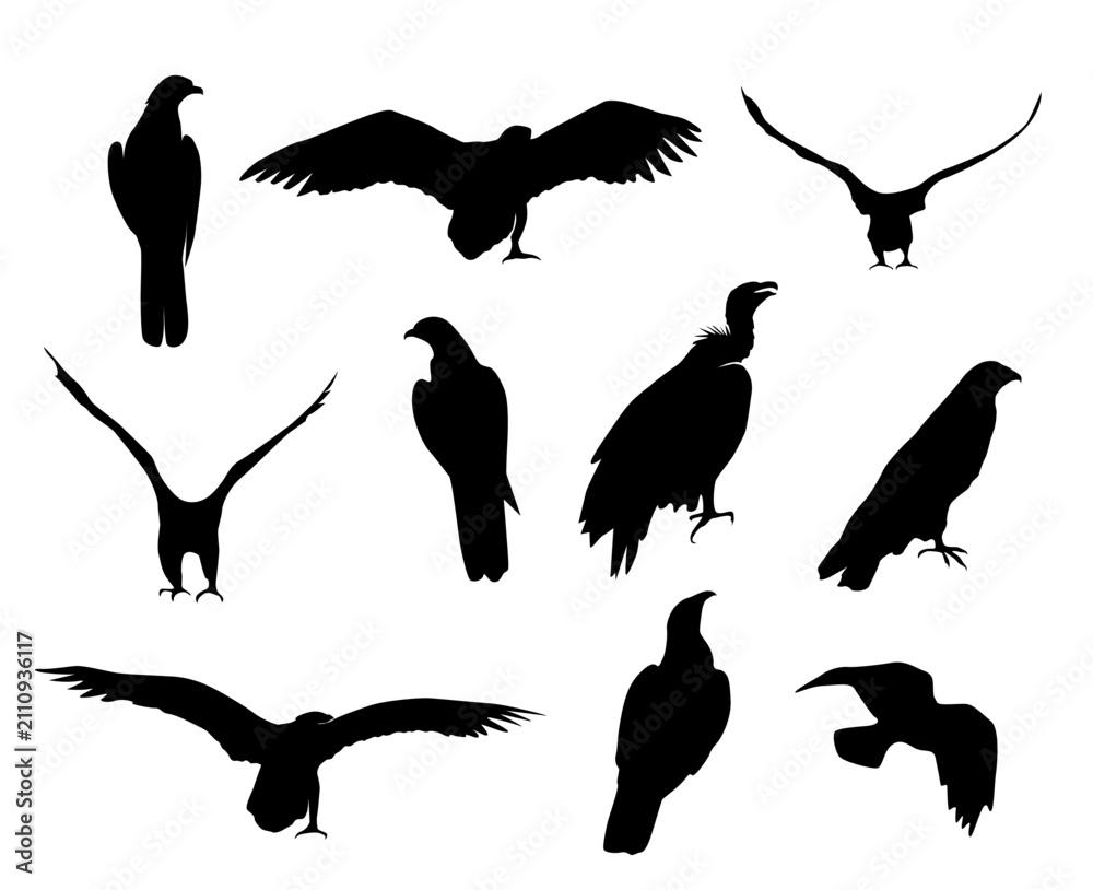 Fototapeta premium African birds silhouette. Eagle, hawk and vulture. Vector isolated decoration elements.