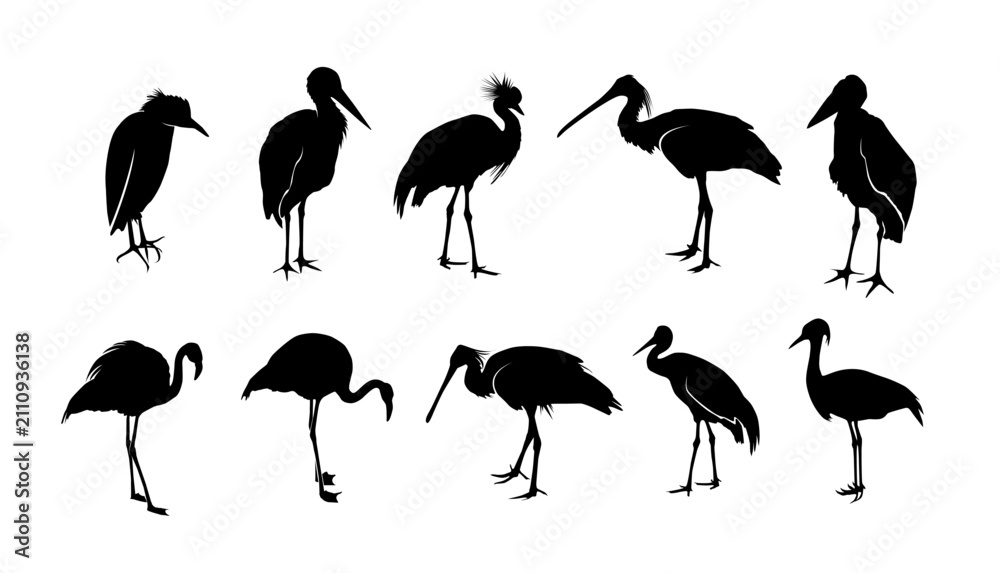 Obraz premium African birds silhouette. Crane, stork, marabu, ibis and heron. Vector isolated decoration elements.