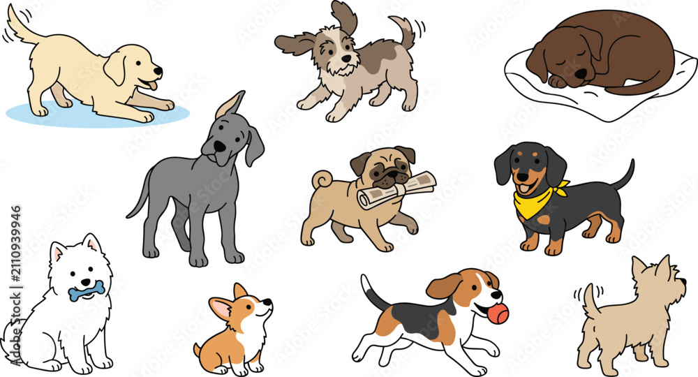Fototapeta premium Cute dog breeds collection featuring playful puppies, Golden Retriever, Great Dane, Pug, Dachshund, Beagle, Corgi, and companion pet vector illustration set