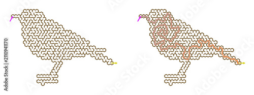 Maze challenge with answers depicting stylized birds in profile view  