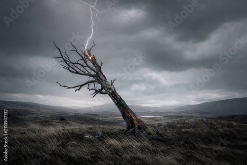 Lone dead tree leaning on desolate grey moor under overcast sky.