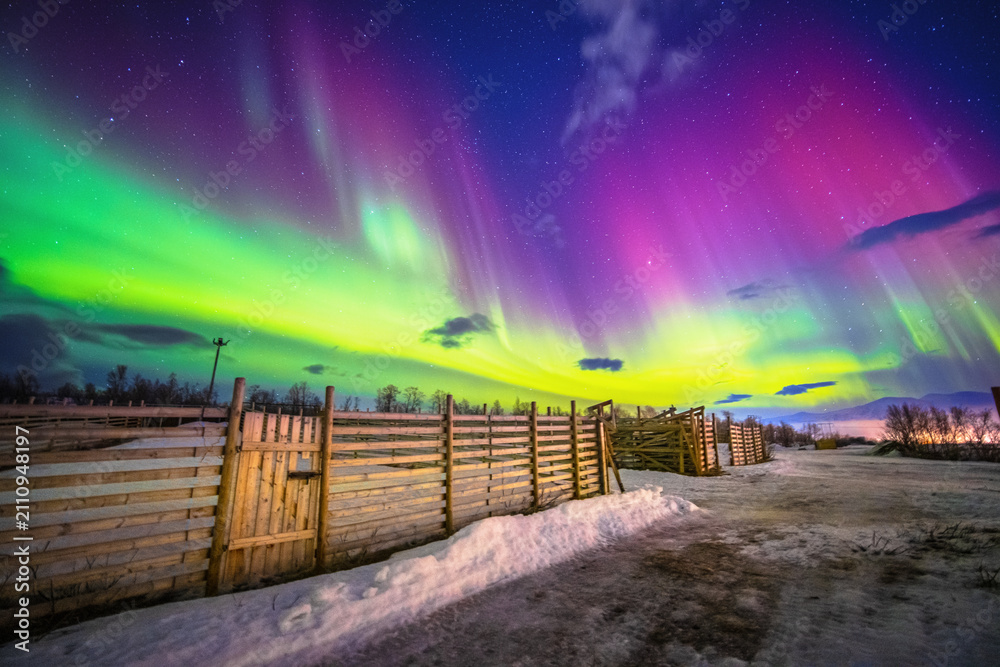 Obraz premium Aurora Borealis above Fences in a reindeer Sami camp