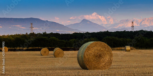 Hay Bales on Golden Field at Sunset with Mont Blanc, Alps. No people.