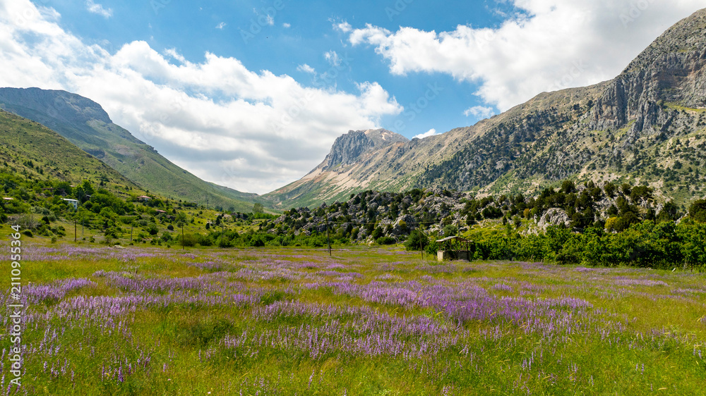 Fototapeta premium Lake Eğri which is 130 km from Alanya and 40 km from Gündoğmuş, is located at an altitude of 2100 meters on the eastern slope of Geyik Mountain at the Taurus Mountains.. If you are going from Seydişeh