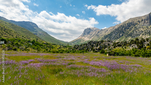 Obraz na płótnie Lake Eğri which is 130 km from Alanya and 40 km from Gündoğmuş, is located at an altitude of 2100 meters on the eastern slope of Geyik Mountain at the Taurus Mountains