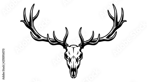Fotografía Symmetrical black and white vector illustration of a bull elk skull with large multi-point antlers