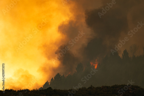 Photography Wildfire consuming a forest, sending dark smoke plumes and glowing orange haze a