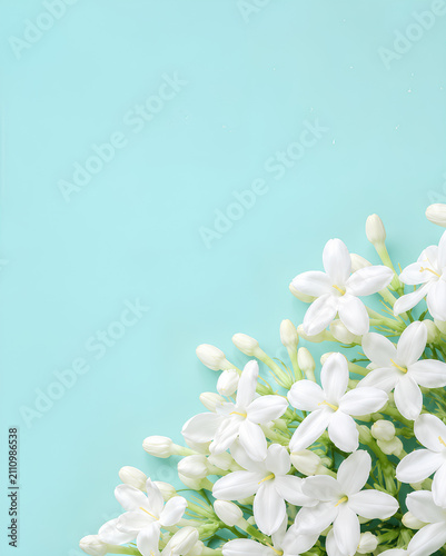 White jasmine flowers flat lay on a pastel blue background with copy space