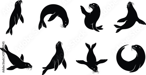 Dynamic Sea Lion Silhouette Collection Featuring Marine Mammals in Agile Underwater Swimming, Diving, and Curved Circular Poses for Aquatic Wildlife Logo Designs