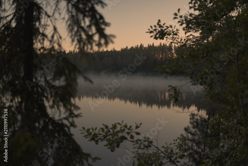 A view through tree branches onto a misty forest lake at dawn