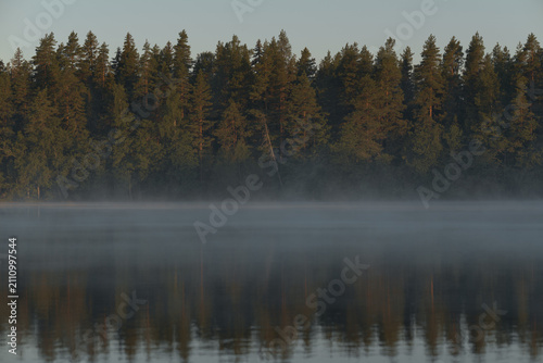 Soft mist rising over a forest lake before sunrise, highlighting calm water, dense woodland, and a minimalist outdoor scene with copy space