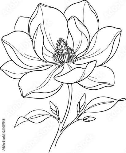 sketch of lotus flower art