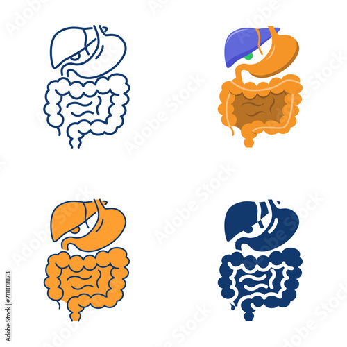 Digestive system anatomy icon set. Liver, stomach and intestines symbols. Vector illustration.