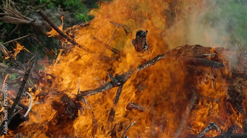 The flames engulfed the forest violently. Slow motion
