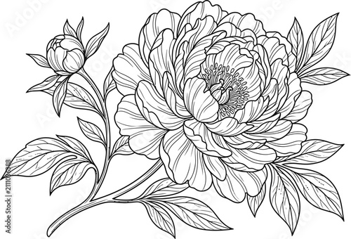 seamless pattern with flowers