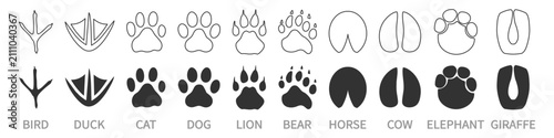 Canvas Print Animal and bird paw print vector collection
