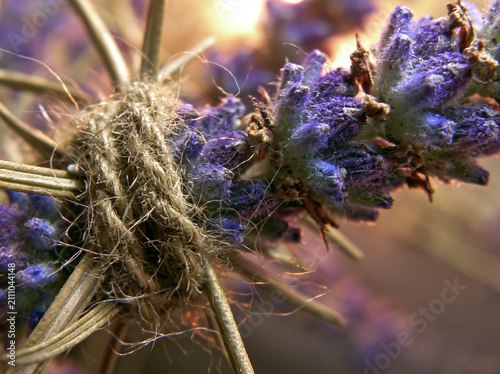 Macro View of Dried Lavender Tied with Natural Twine