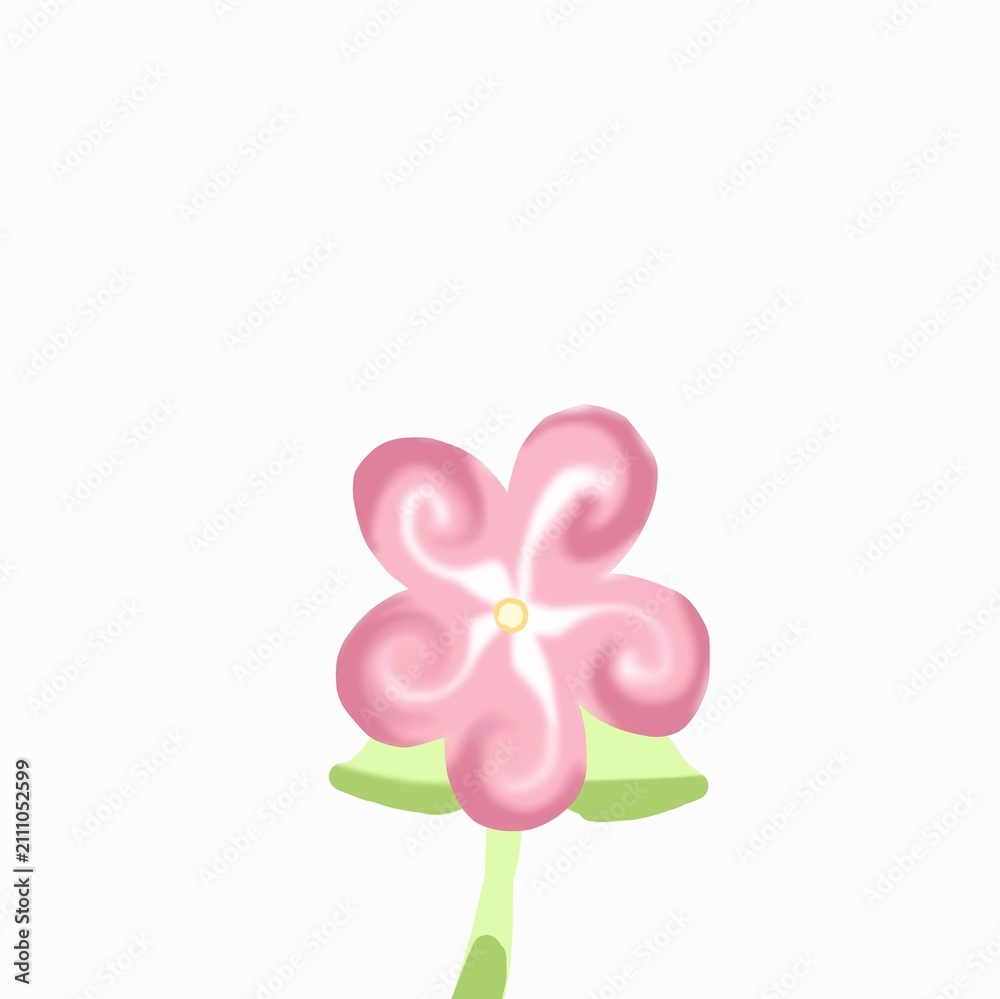 Fototapeta premium pink flower on white background