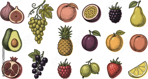 Vintage Sketch Organic Fruit and Berry Icon Set Featuring Pineapple Grapes Strawberry Avocado Pomegranate and Peach Elements for Fresh Grocery Market Designs