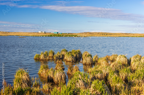 Sandgerðistjörn lake near Sandgerdi Iceland