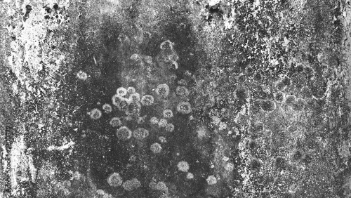 Fotografie Black and white concrete wall texture with circular weather stains and aged rough surface
