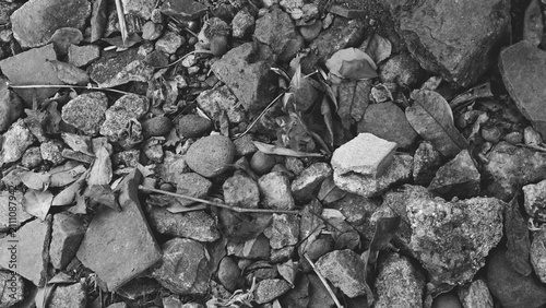 Bild auf Leinwand Monochrome pile of stones, broken concrete and dry leaves creating a rugged natural texture