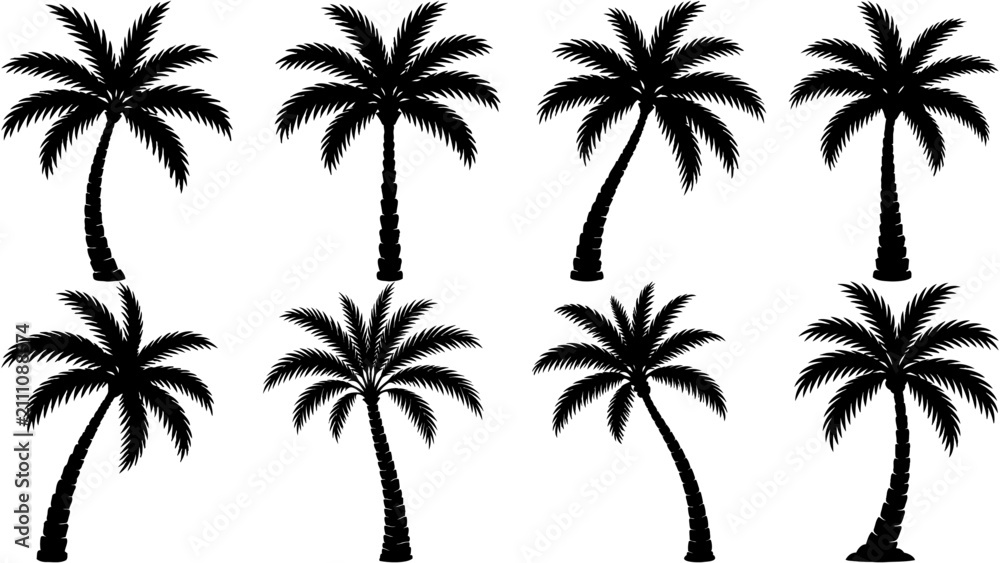 Fototapeta premium Stylish Summer Palm silhouette set clipart featuring smooth black shapes and timeless tropical appeal. Great for branding, travel themes, botanical designs, landscaping, and vector illustrations.