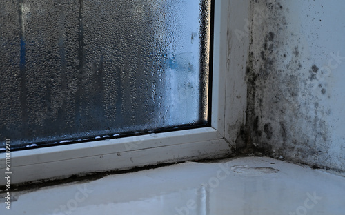 Mold appearing on window frame and wall corner inside residential room, mould spots clustered along edges and joints. Mold growth linked to moisture exposure, condensation, unhealthy indoor conditions