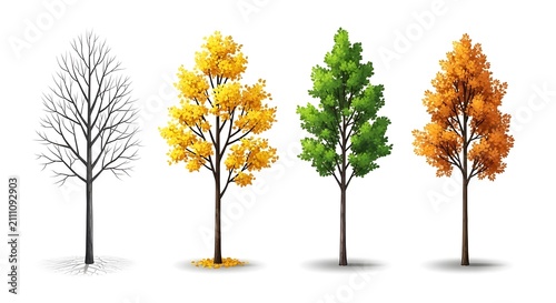 Four trees representing the changing seasons including the first day of winter with bare branches on white background