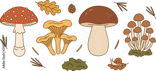 Obraz na płótnie Forest Mushroom Vector Set with Hand Drawn Fly Agaric Porcini Chanterelle Oak Le