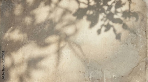 Blurry leafy tree branch shadows.