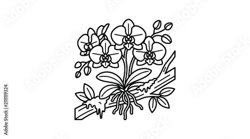 Foto Industrial Style Black and White Line Drawing of Orchids and Leaves Floral Arran