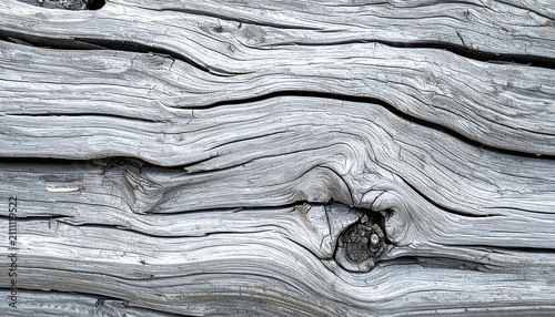 Weathered teak wood texture with silvery grey outdoor aging and detailed cracks.