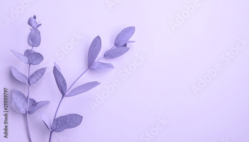 Monochrome lavender painted botanical leaves on a soft peaceful purple background.