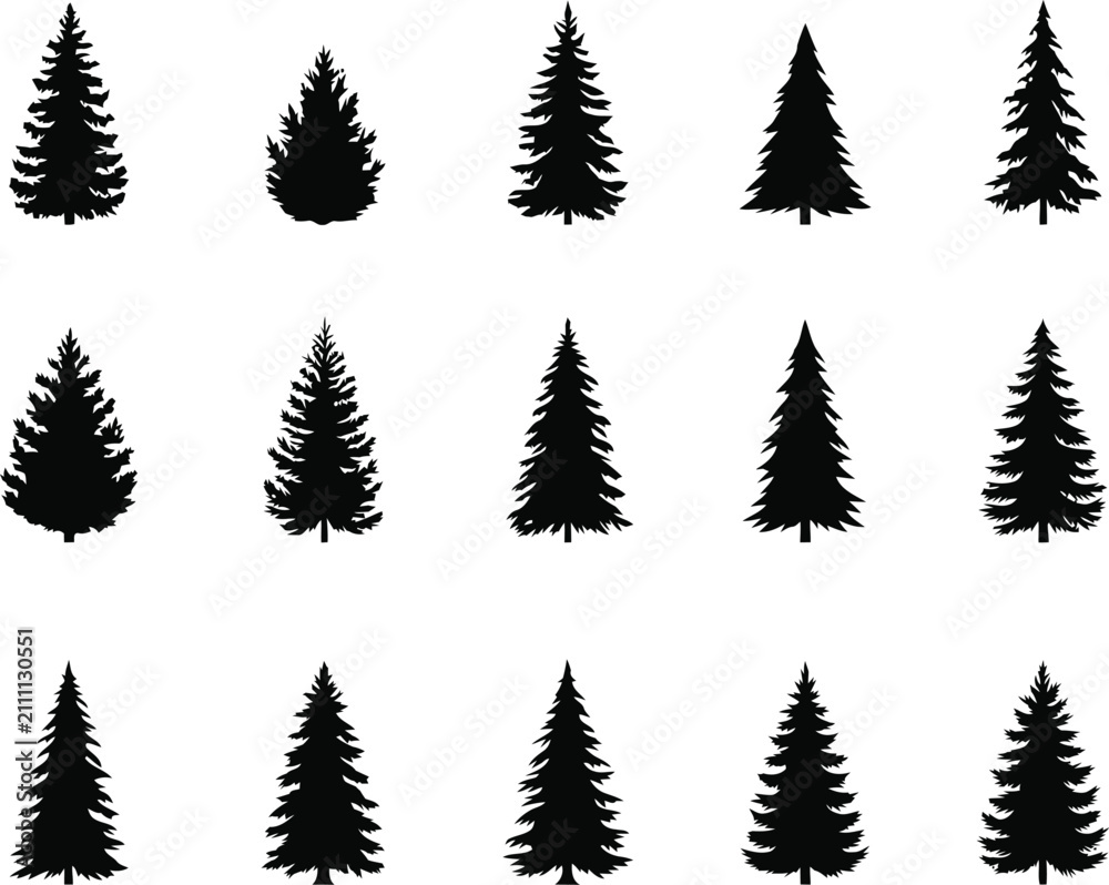 Obraz premium Collection of black pine tree silhouettes in various shapes and sizes fir tree evergreen conifer