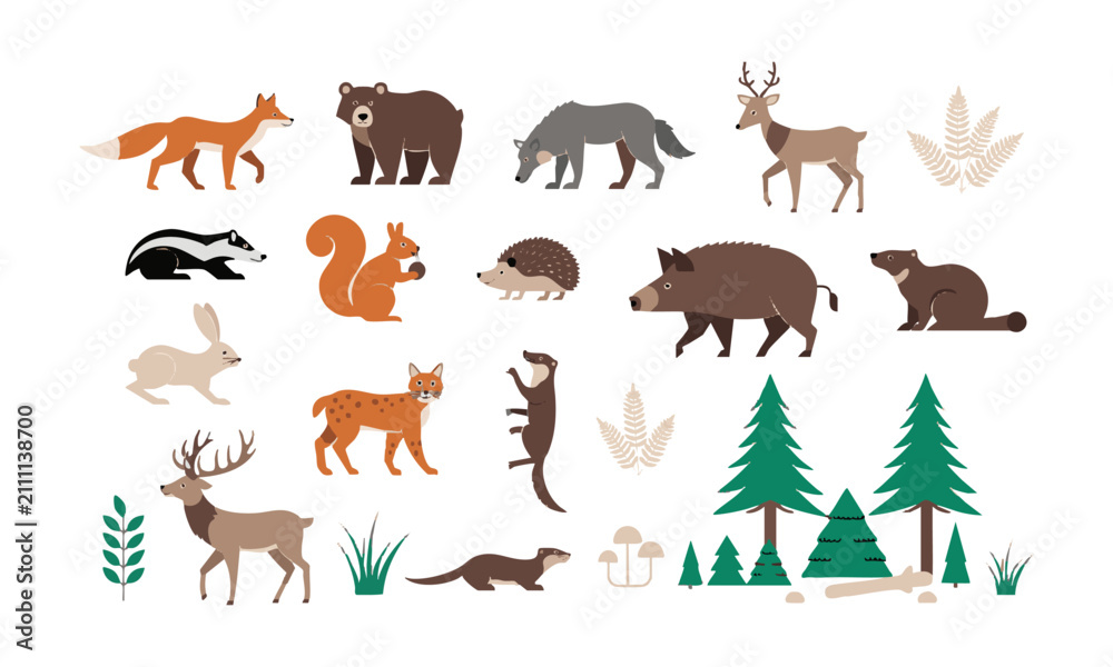 Fototapeta premium Forest Wildlife Flat Animal Collection.