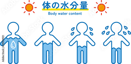 Obraz na płótnie 体内水分量のアイコン。水分補給や脱水状態を表すイラスト。Body water level icons.