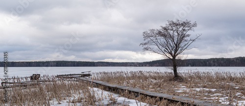 Canvas Print Wooden Pathway and Solitary Tree on Frozen Lake Shore Under Cloudy Sky