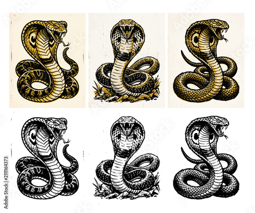 Set of coiled king cobra snake illustrations with raised hood