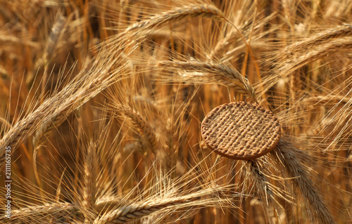 Canvas Print Textured round biscuit surrounded by ripe wheat ears in warm sunlight, symbolizing agricultural abundance, natural food and the farm-to-table concept