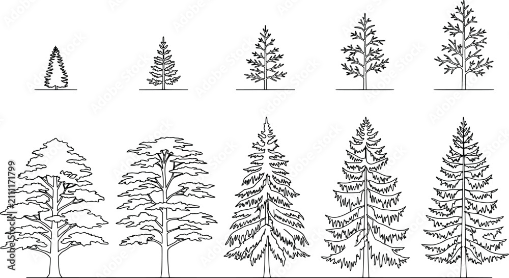 Obraz premium Collection of various coniferous tree silhouettes for landscape design