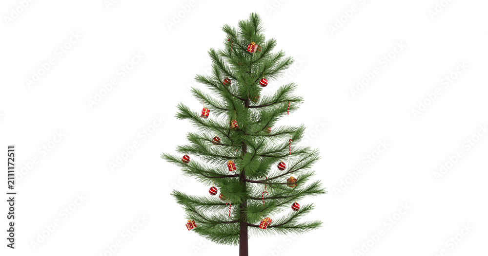 Fototapeta premium Christmas tree on white background